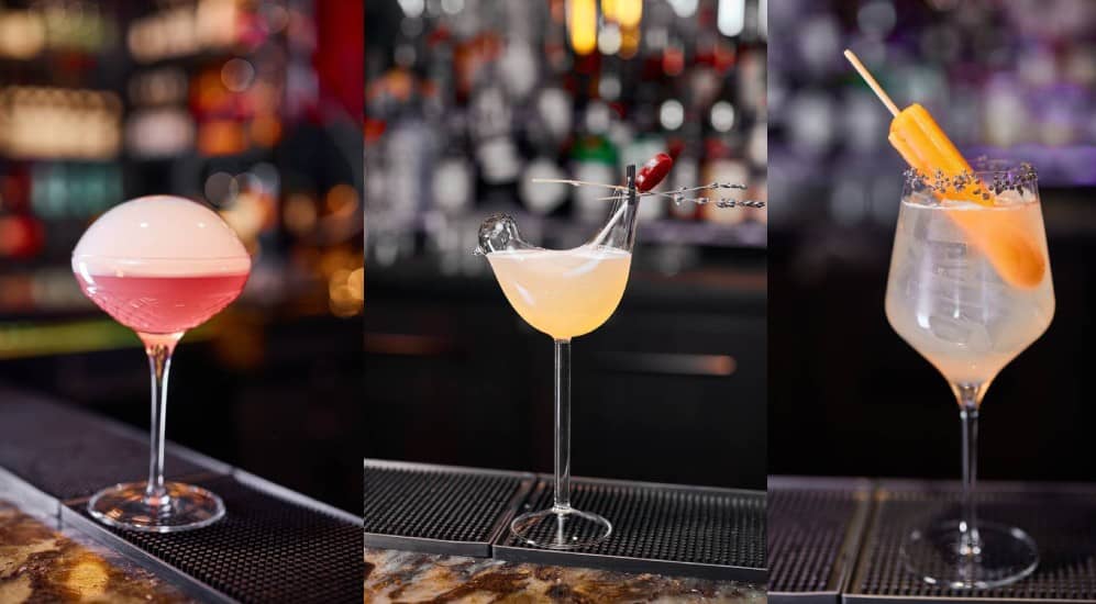 Elegant Cocktails at Sky Wise Lounge